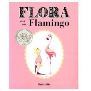 Flora & the Flamingo book