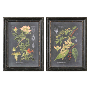 Midnight Botanicals Framed Art Set of 2