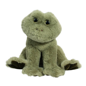 Finnie the Frog
