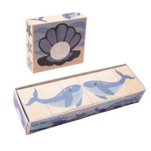 Ocean Environments Blocks